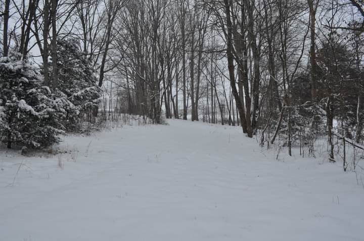 Snow Days
